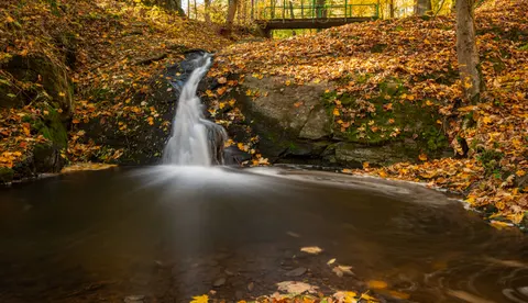 Sfondo Cascata nella Foresta 4K · waterfall · 3840×2205