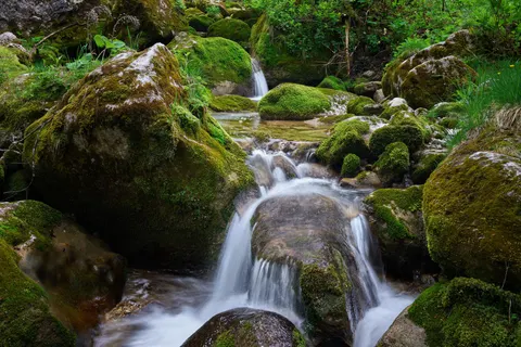 Forest Waterfall 4K Wallpaper · waterfall · 3840×2560