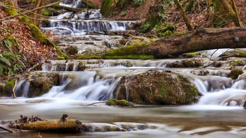 Sfondo Cascata nella Foresta 4K · waterfall · 3840×2158