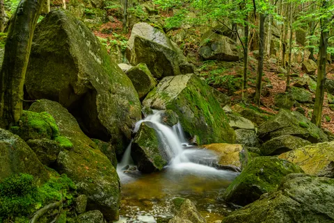 Forest Waterfall 4K Wallpaper · waterfall · 3840×2568