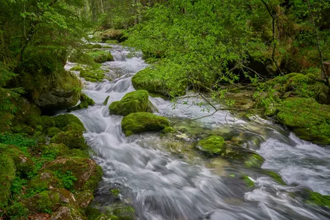 Waldwasserfall 4K Hintergrundbild · waterfall · 3840×2560