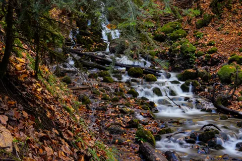Sfondo Cascata nella Foresta 4K · waterfall · 3840×2560