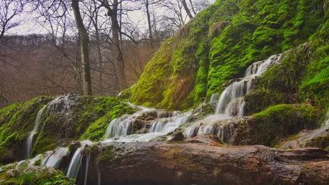 Papel de parede Cachoeira na Floresta 4K · waterfall · 3840×2158