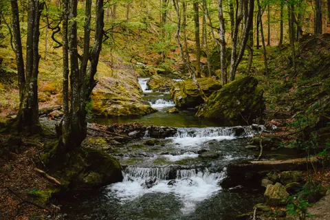 Forest Waterfall 4K Wallpaper · waterfall · 3840×2560