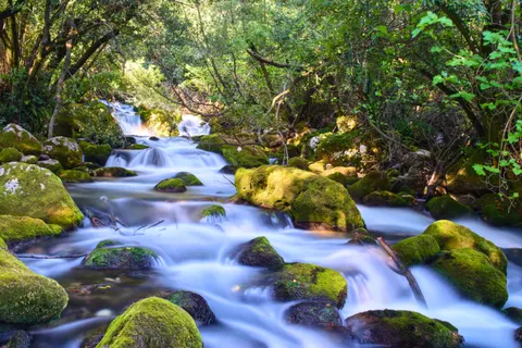 숲속 폭포 4K 배경화면 · waterfall · 3840×2560