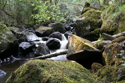 Forest Waterfall 4K Wallpaper · waterfall · 3840×2559