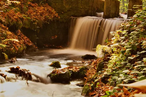 Forest Waterfall 4K Wallpaper · waterfall · 3840×2560