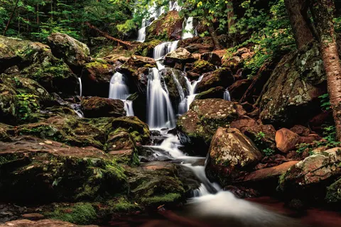 Forest Waterfall 4K Wallpaper · waterfall · 3840×2560