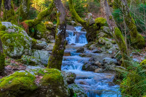 Orman Şelalesi 4K Duvar Kağıdı · waterfall · 3840×2560