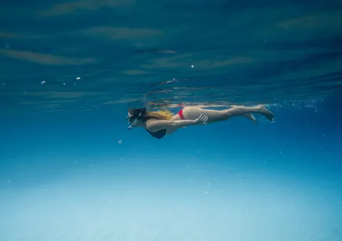 泳ぐウミガメ 4K壁紙 · underwater · 3840×2705
