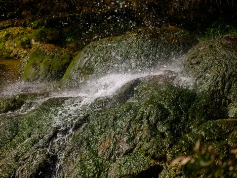 Forest Waterfall 4K Wallpaper · waterfall · 3840×2880