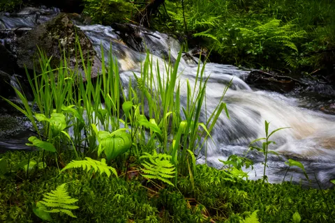 Waldwasserfall 4K Hintergrundbild · waterfall · 3840×2560