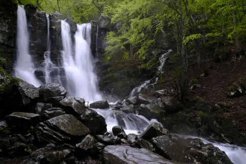 Sfondo Cascata nella Foresta 4K · waterfall · 3840×2560