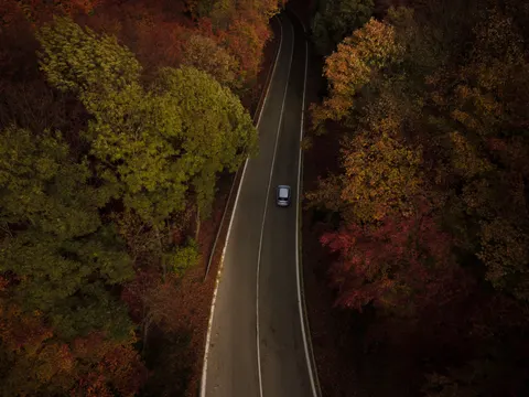 Autumn Forest 4K Wallpaper · nature · 3840×2880