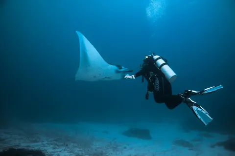 Обои Дайвер 4K · underwater · 3840×2560