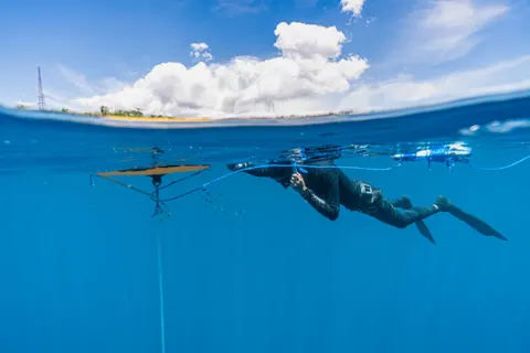 Обои Дайвер 4K · underwater · 3840×2560