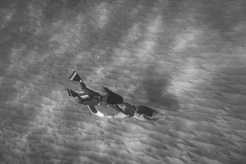 Обои Дайвер 4K · underwater · 3840×2560