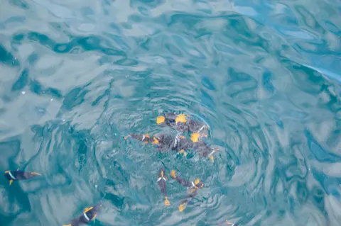 Fond d'écran Bleu profond 4K · underwater · 3840×2553