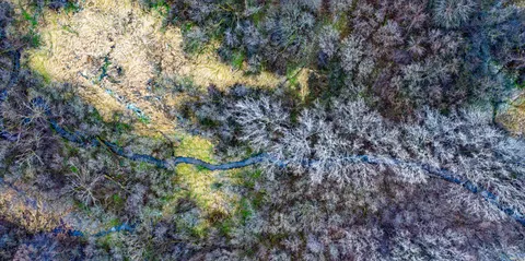 Aerial Forest 4K Wallpaper · aerial · 3840×1912
