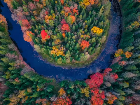 Papel de parede Floresta Aérea 4K · aerial · 3840×2880