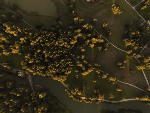 Aerial Forest 4K Wallpaper · aerial · 3840×2880