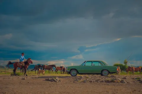 Fond d'écran Cheval 4K · animals · 3840×2560