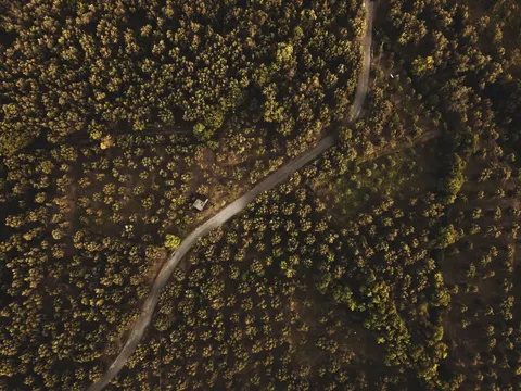 خلفية الغابة من الجو بدقة 4K · aerial · 3840×2880