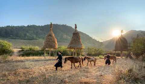 Fond d'écran Cheval 4K · animals · 3840×2222