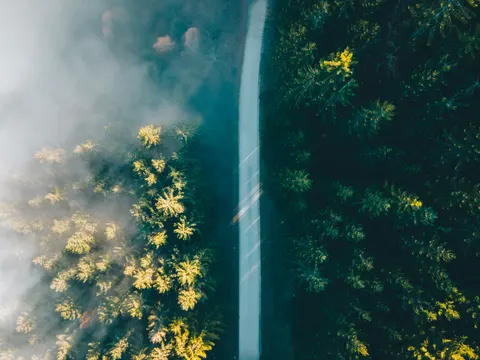 Aerial Forest 4K Wallpaper · aerial · 3840×2880