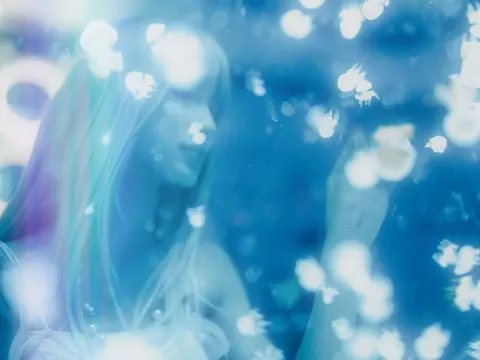 發光水母 4K桌布 · underwater · 3840×2880