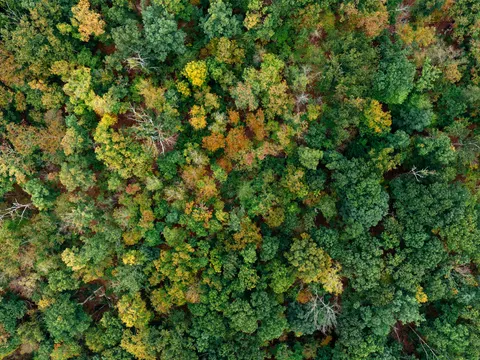 空撮の森林 4K壁紙 · aerial · 3840×2880