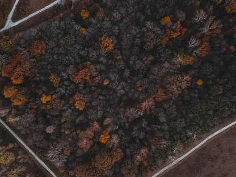 والپیپر جنگل هوایی با کیفیت 4K · aerial · 3840×2878