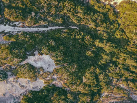 والپیپر جنگل هوایی با کیفیت 4K · aerial · 3840×2880
