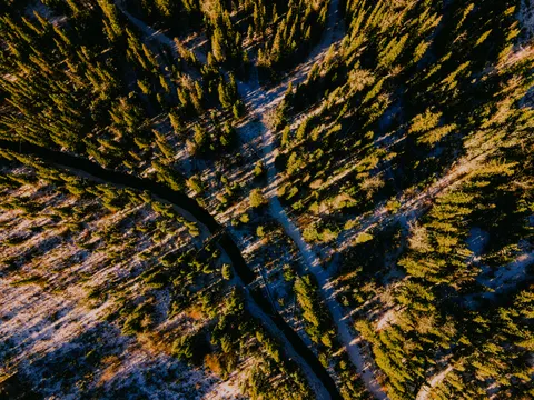 Aerial Forest 4K Wallpaper · aerial · 3840×2880