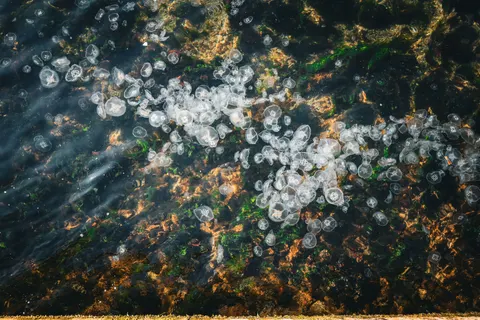 發光水母 4K桌布 · underwater · 3840×2560