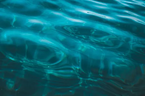 Tapeta Świecąca Meduza 4K · underwater · 3840×2560