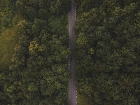 خلفية الغابة من الجو بدقة 4K · aerial · 3840×2880
