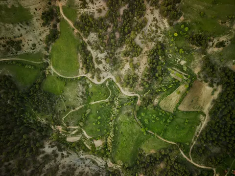 والپیپر جنگل هوایی با کیفیت 4K · aerial · 3840×2879