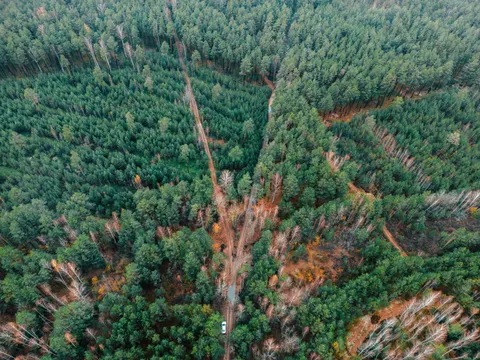 Aerial Forest 4K Wallpaper · aerial · 3840×2880