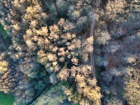 والپیپر جنگل هوایی با کیفیت 4K · aerial · 3840×2880