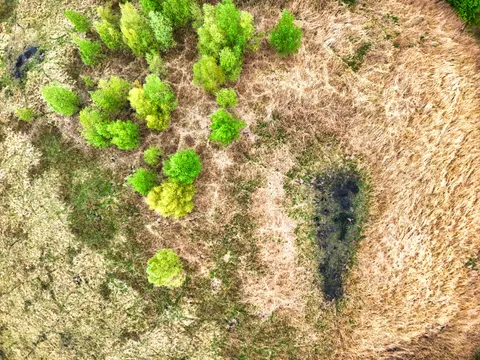 Aerial Forest 4K Wallpaper · aerial · 3840×2880
