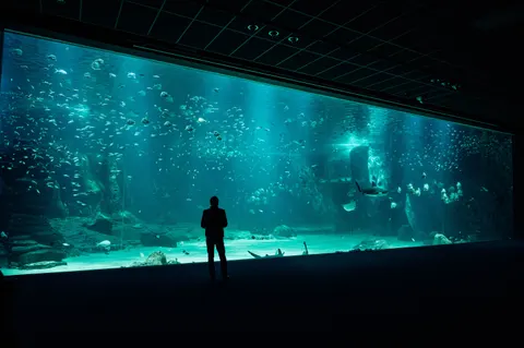 Tapeta Nurek 4K · underwater · 3840×2555