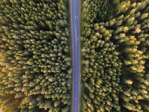 हवाई वन दृश्य 4K वॉलपेपर · aerial · 3840×2880