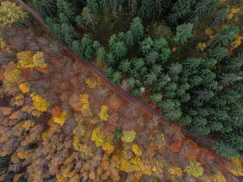 Aerial Forest 4K Wallpaper · aerial · 3840×2880