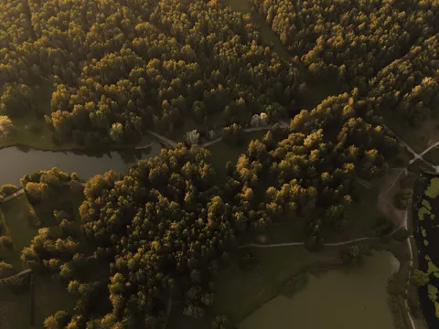 空撮の森林 4K壁紙 · aerial · 3840×2880