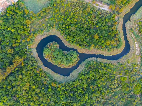Aerial Forest 4K Wallpaper · aerial · 3840×2880