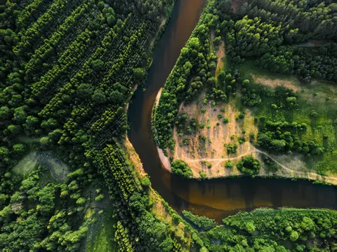 Aerial Forest 4K Wallpaper · aerial · 3840×2880