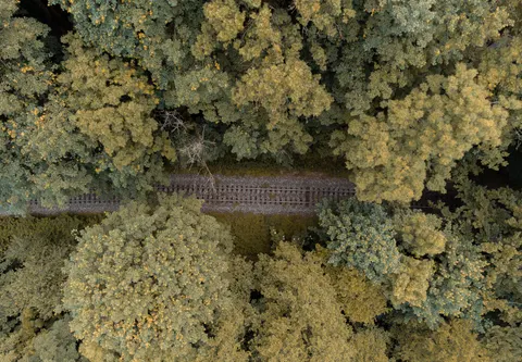 والپیپر جنگل هوایی با کیفیت 4K · aerial · 3840×2664