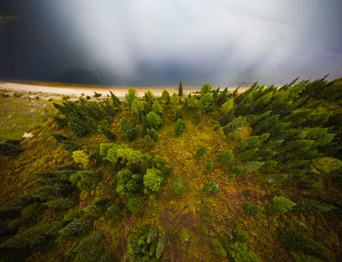 Aerial Forest 4K Wallpaper · aerial · 3840×2949