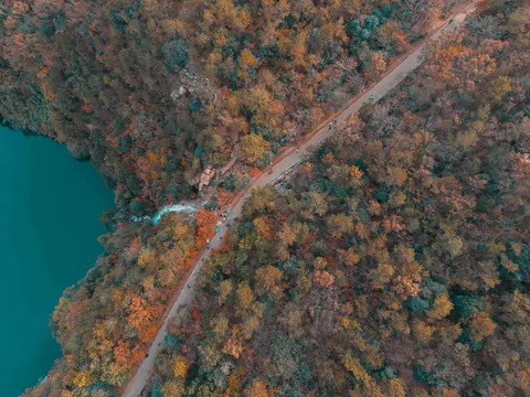 Aerial Forest 4K Wallpaper · aerial · 3840×2880